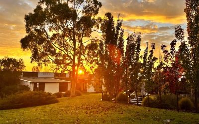 Top Attractions Near Waurn Ponds Estate: Your guide for things to do in Geelong